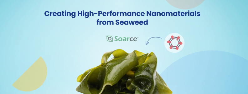 https://www.greyb.com/blog/soarce-nanomaterials-from-seaweed/